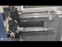 مادة ذيل صفرية